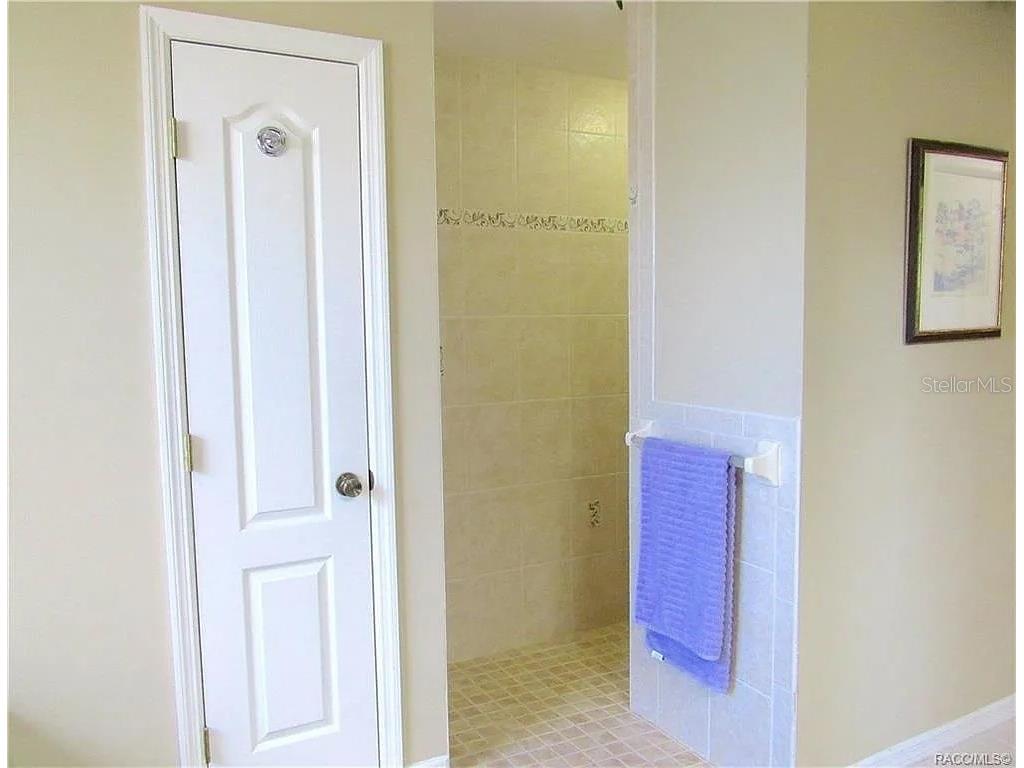 13038 Pastore Court Spring Hill FL 34609 W7886620 image14