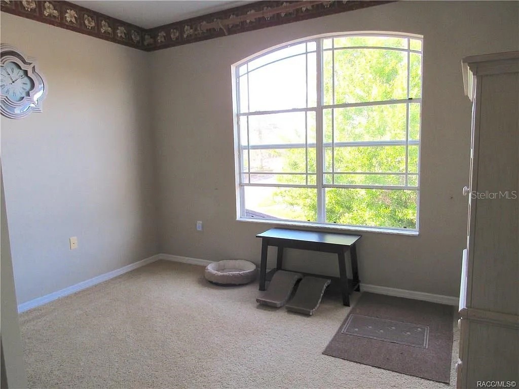 13038 Pastore Court Spring Hill FL 34609 W7886620 image24
