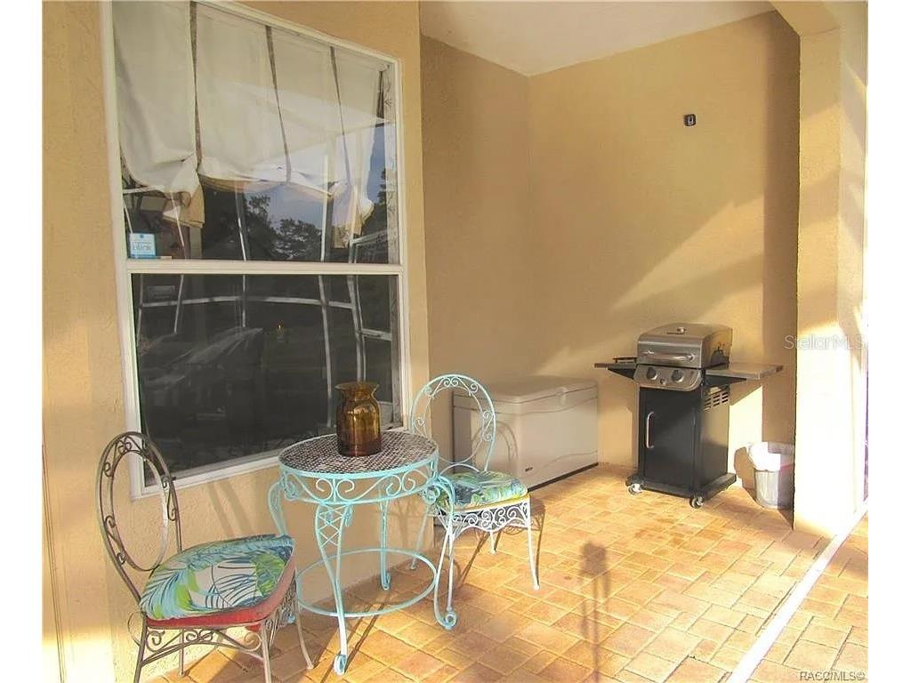13038 Pastore Court Spring Hill FL 34609 W7886620 image33