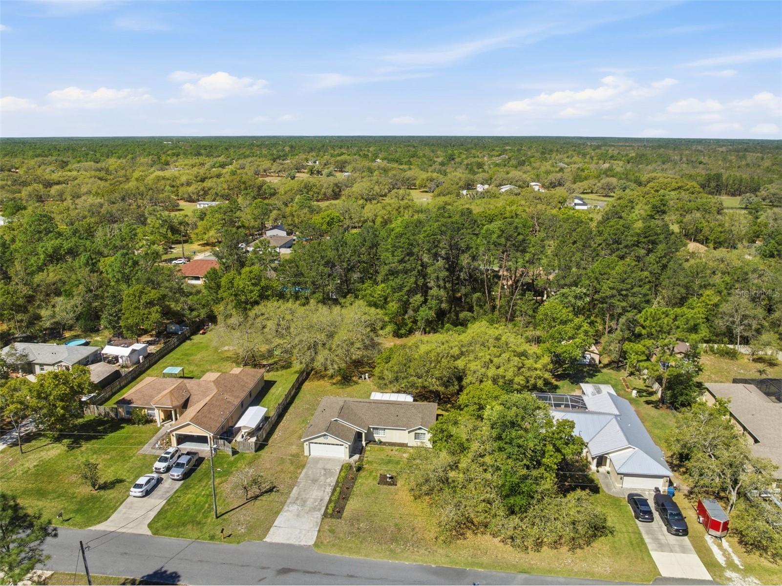 13039 Kittiwake Road Weeki Wachee FL 34614 W7884603 image36