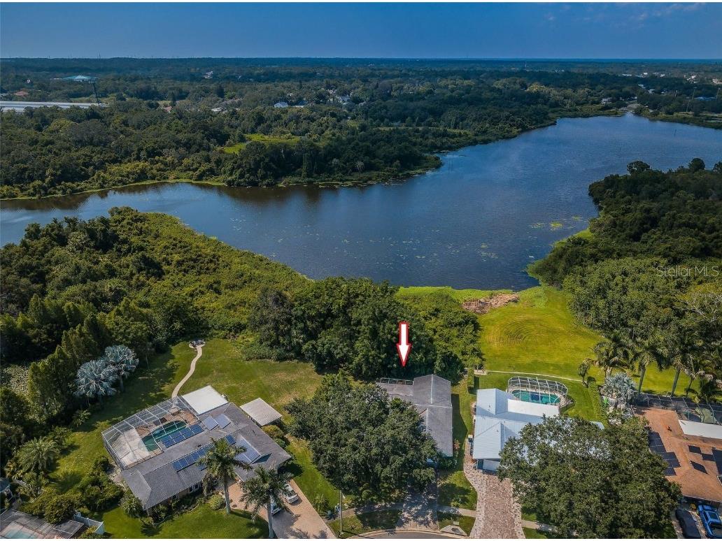 1304 Alameda Avenue Clearwater FL 33759 - LAKE ALLIGATOR U8206060 image1