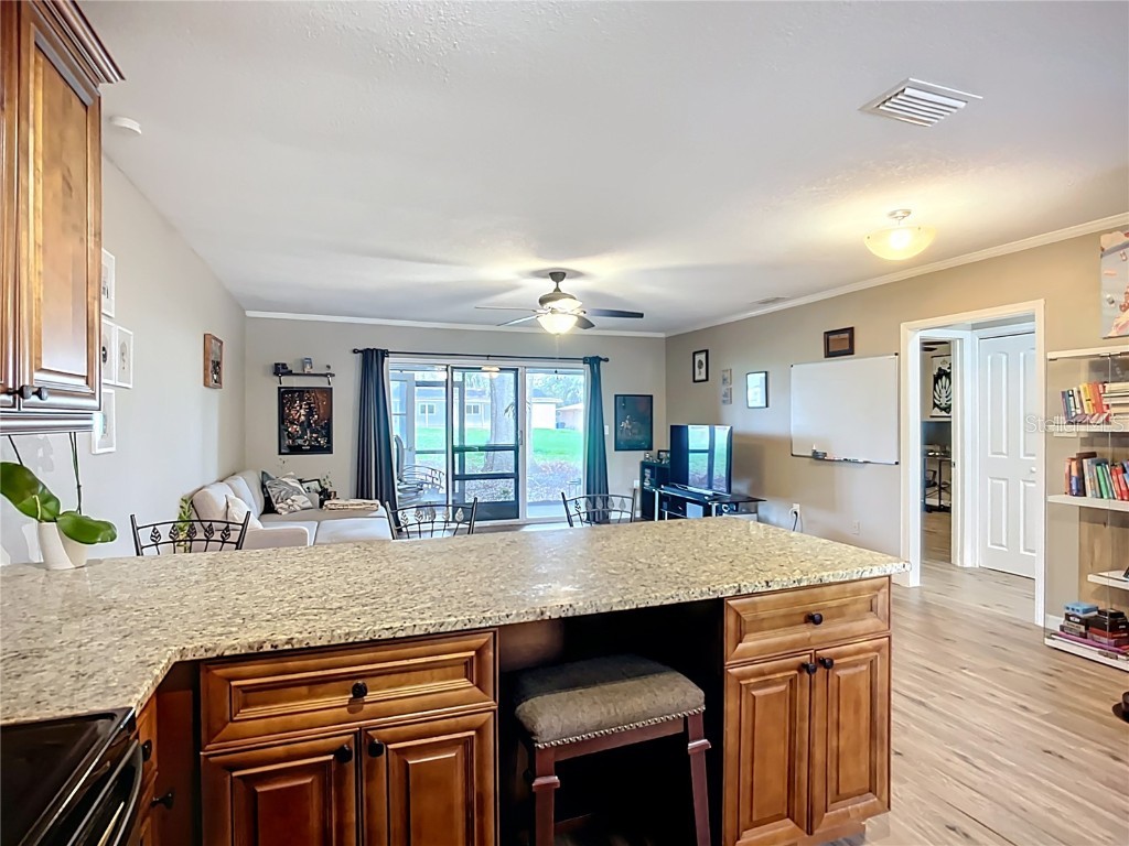 1304 Alfred Street #A Brandon FL 33510 TB8417417 image11