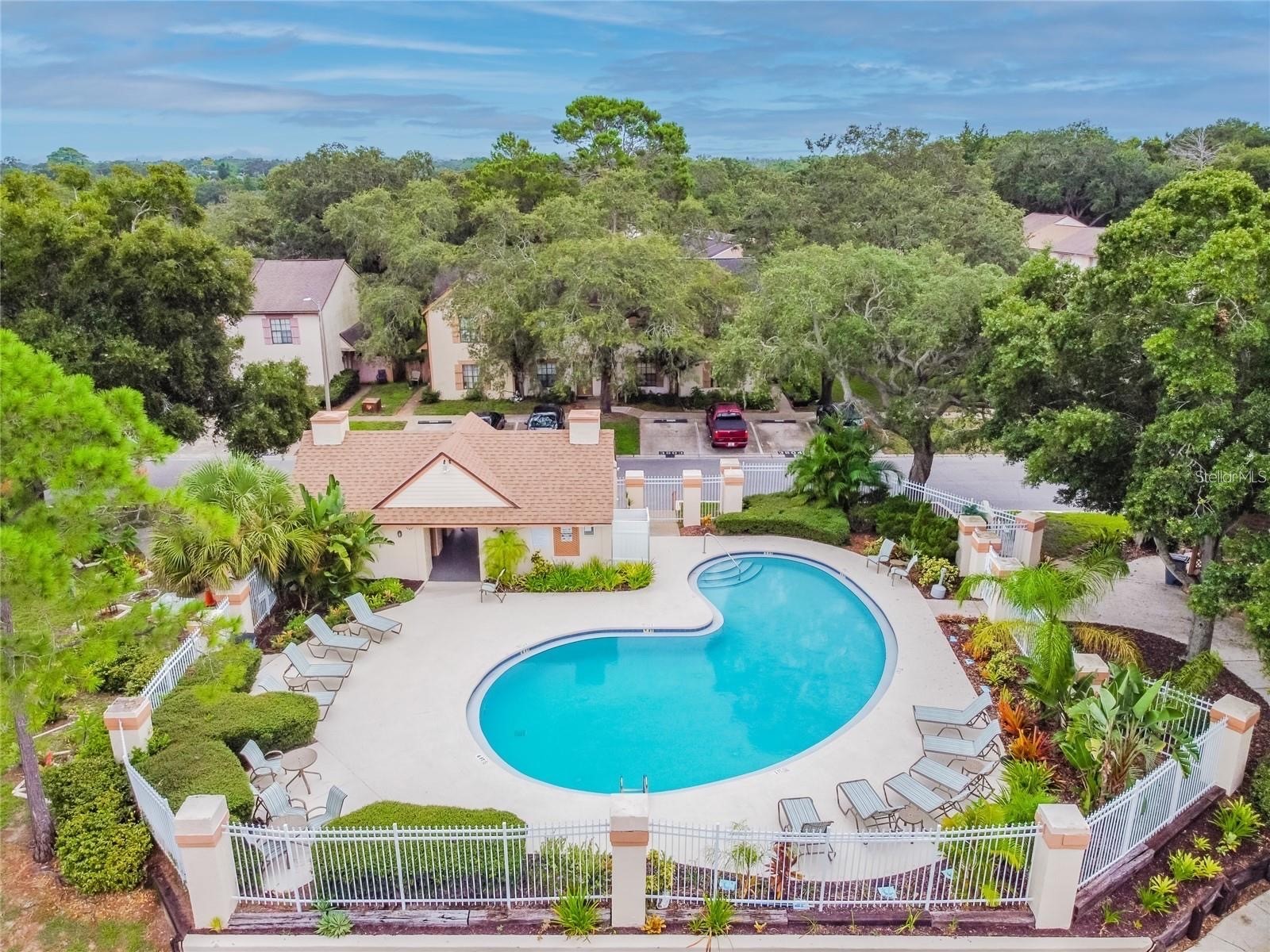 1304 Brigadoon Drive Clearwater FL 33759 O6376350 image2