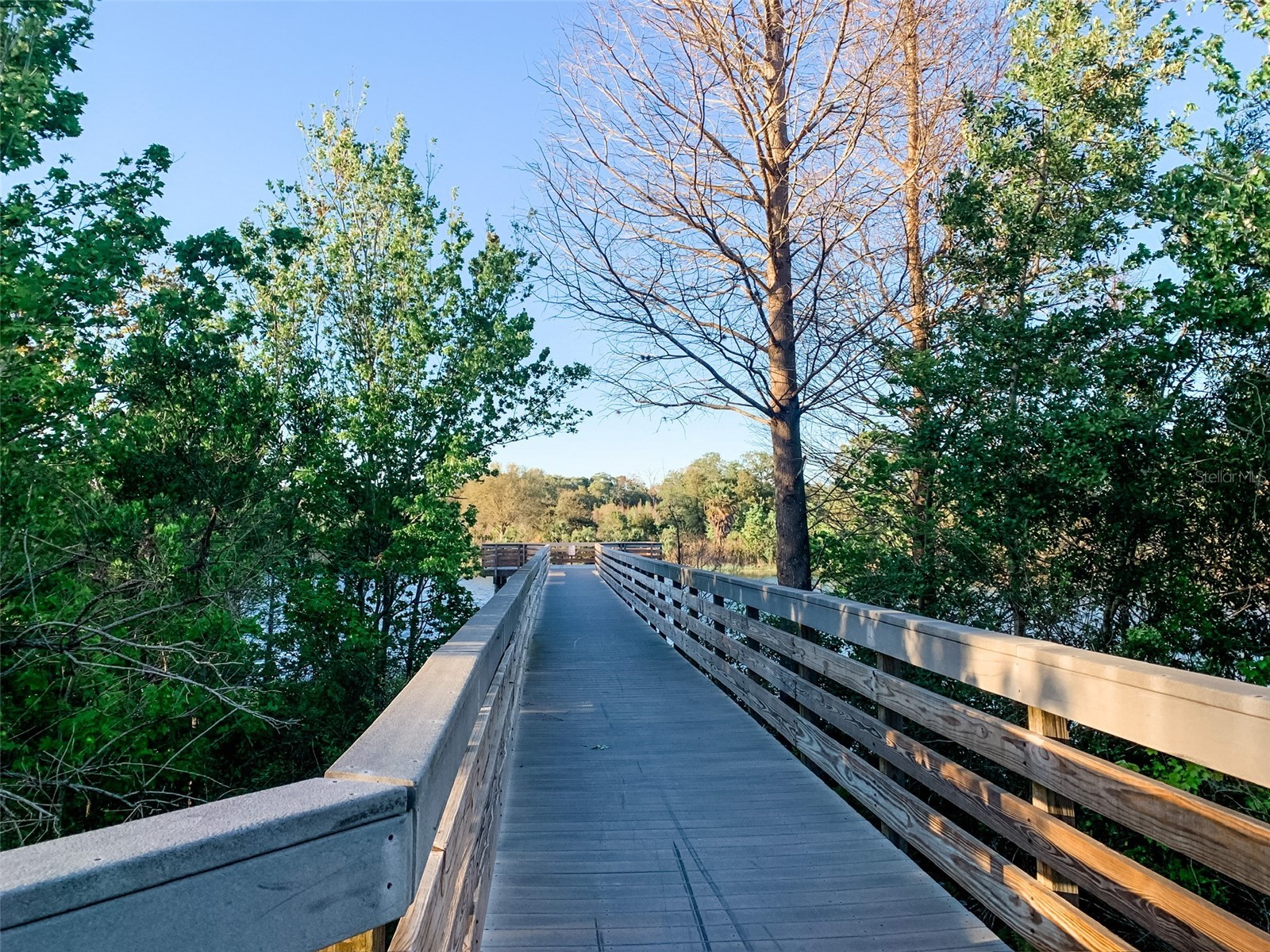 1304 Brigadoon Drive Clearwater FL 33759 O6376350 image42