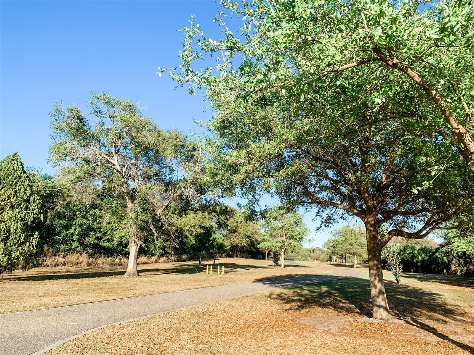 1304 Brigadoon Drive Clearwater FL 33759 O6376350 image43