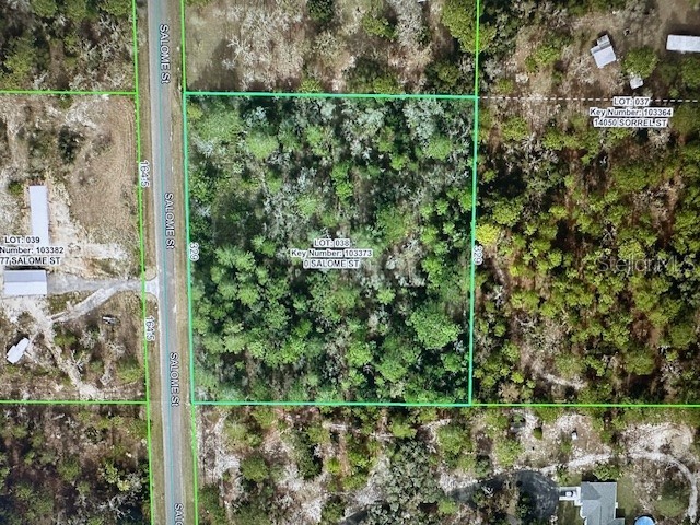 1304 Candlelight Boulevard Brooksville FL 34601 TB8461129 image44