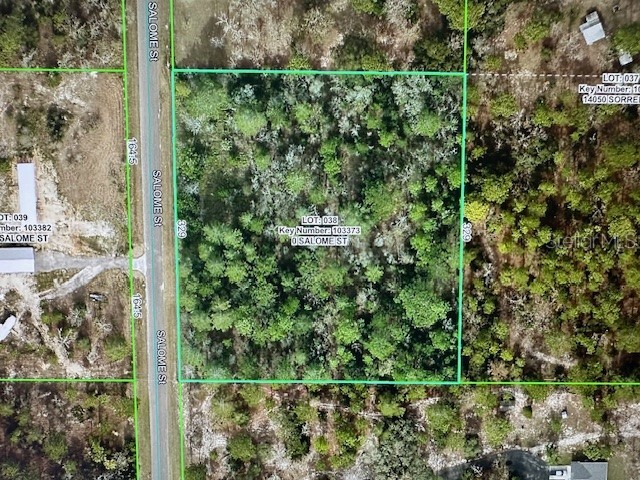 1304 Candlelight Boulevard Brooksville FL 34601 TB8461129 image45