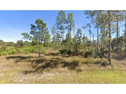 1304 Columbus Avenue Lehigh Acres FL 33972 T3498757 image1