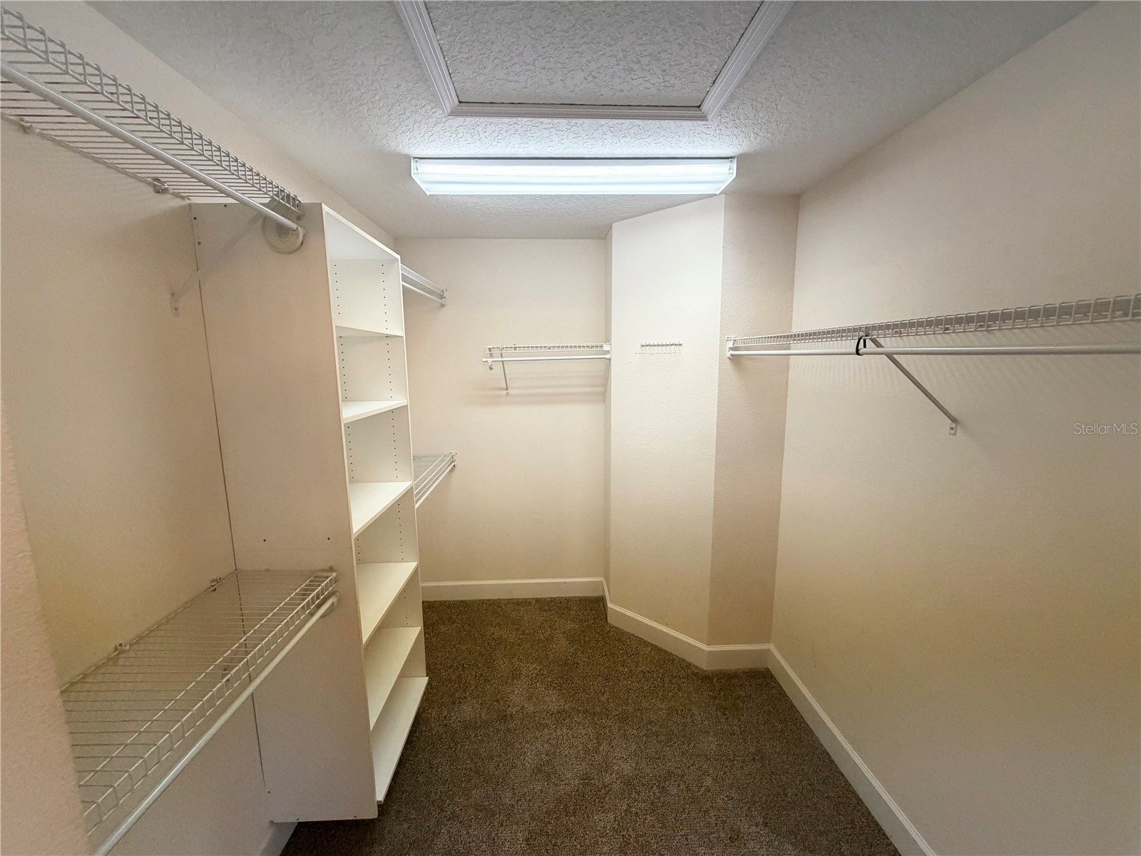 1304 Crepe Myrtle Lane Port Orange FL 32128 O6380772 image18