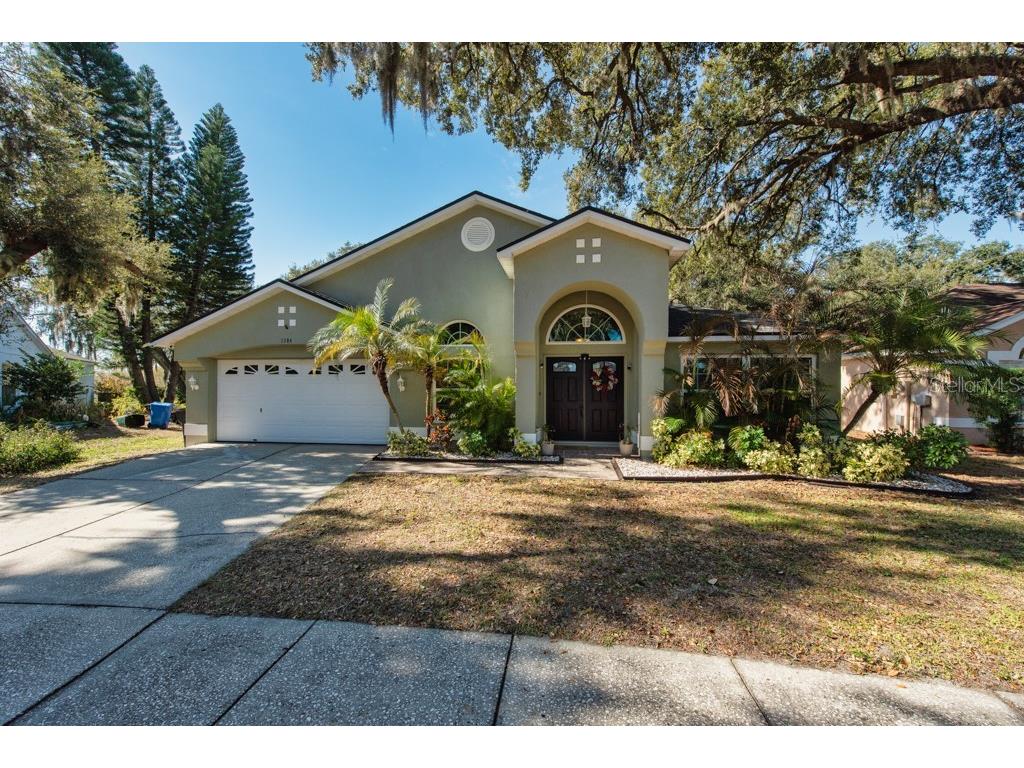 1304 Gangplank Drive Valrico FL 33594 TB8474469 image35