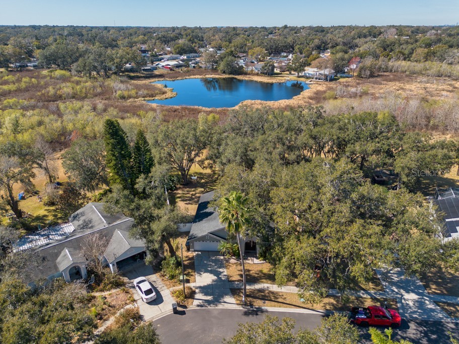 1304 Gangplank Drive Valrico FL 33594 TB8474469 image38