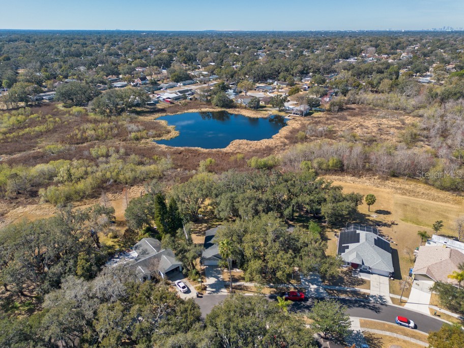 1304 Gangplank Drive Valrico FL 33594 TB8474469 image39