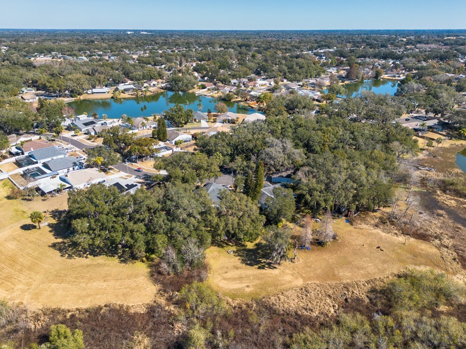 1304 Gangplank Drive Valrico FL 33594 TB8474469 image41