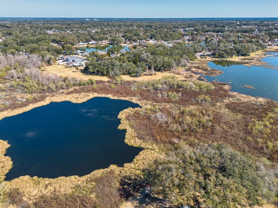 1304 Gangplank Drive Valrico FL 33594 TB8474469 image42