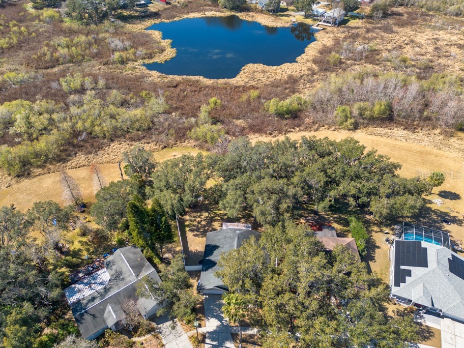 1304 Gangplank Drive Valrico FL 33594 TB8474469 image44