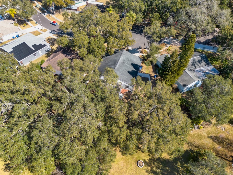 1304 Gangplank Drive Valrico FL 33594 TB8474469 image45