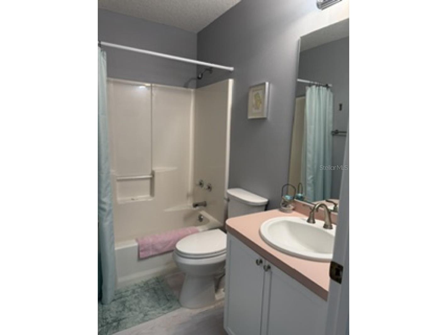 1304 Guadalupe Court The Villages FL 32159 A4693754 image4