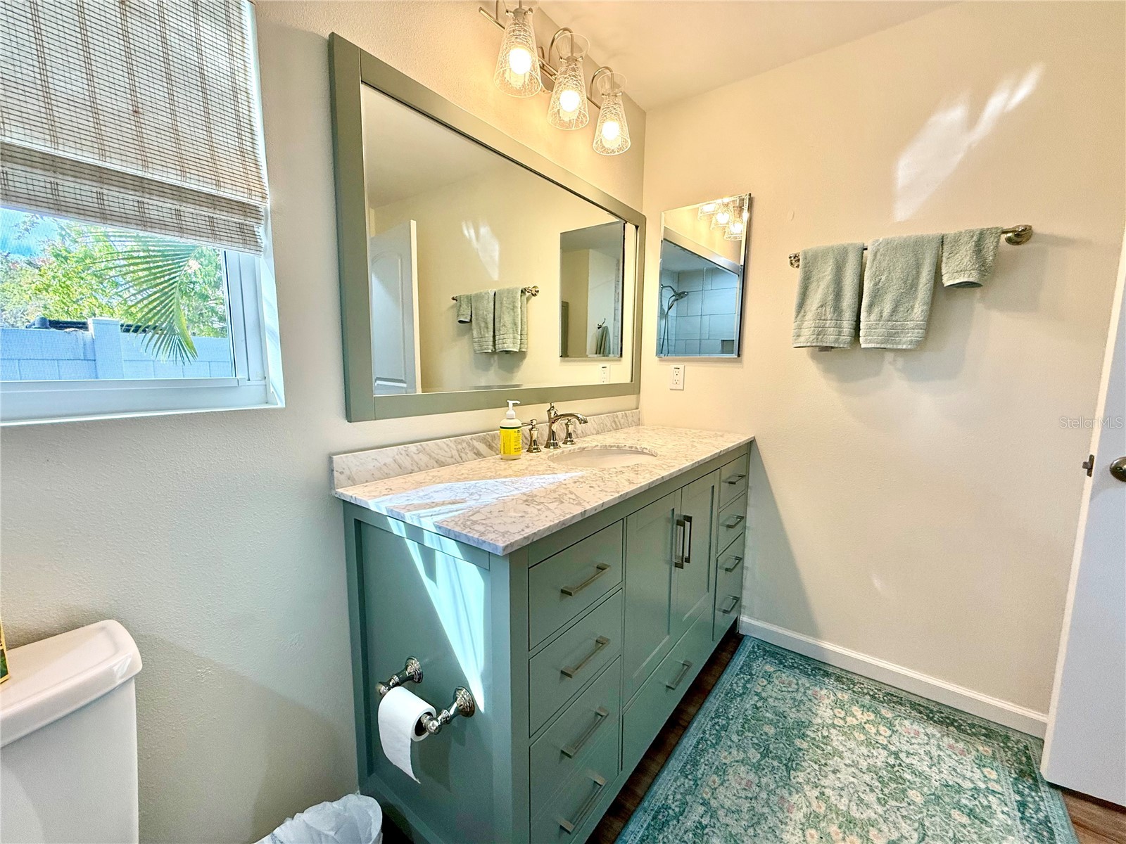 1304 New York Avenue Dunedin FL 34698 TB8477907 image22