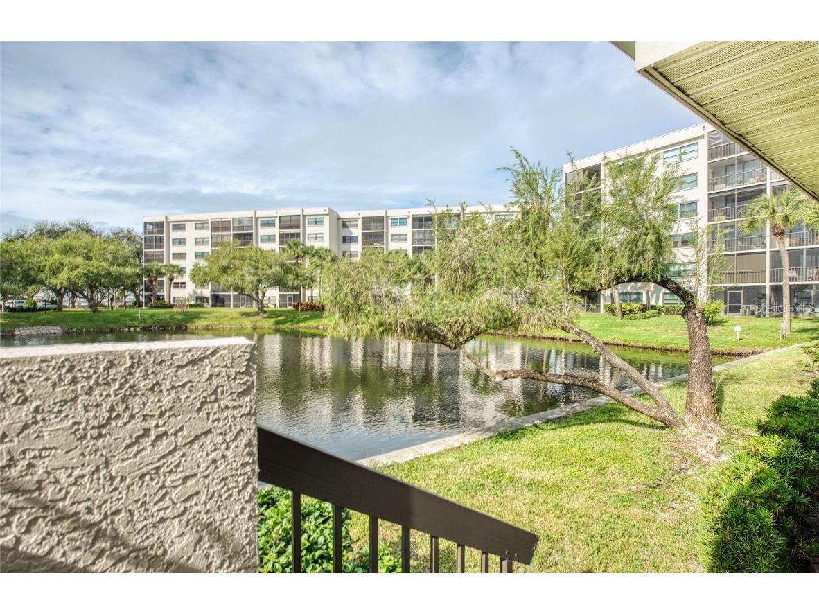 1304 Pasadena Avenue S #3 South Pasadena FL 33707 TB8455841 image41