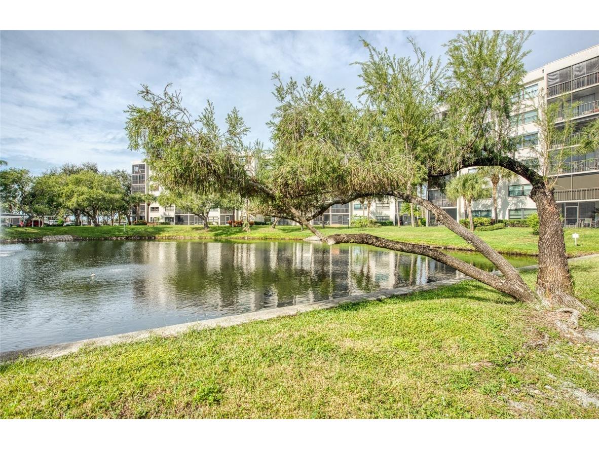 1304 Pasadena Avenue S #3 South Pasadena FL 33707 TB8455841 image42