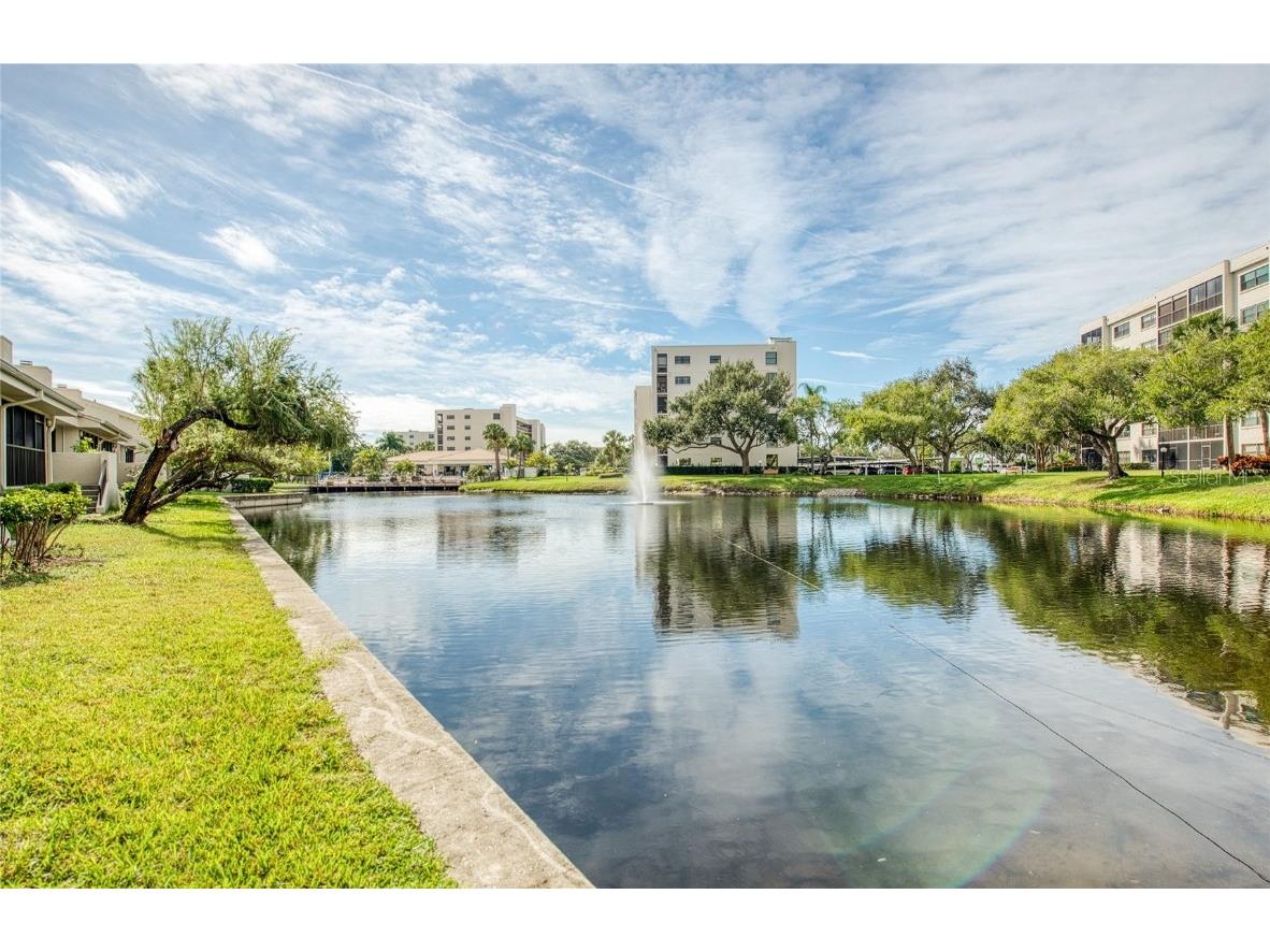 1304 Pasadena Avenue S #3 South Pasadena FL 33707 TB8455841 image45
