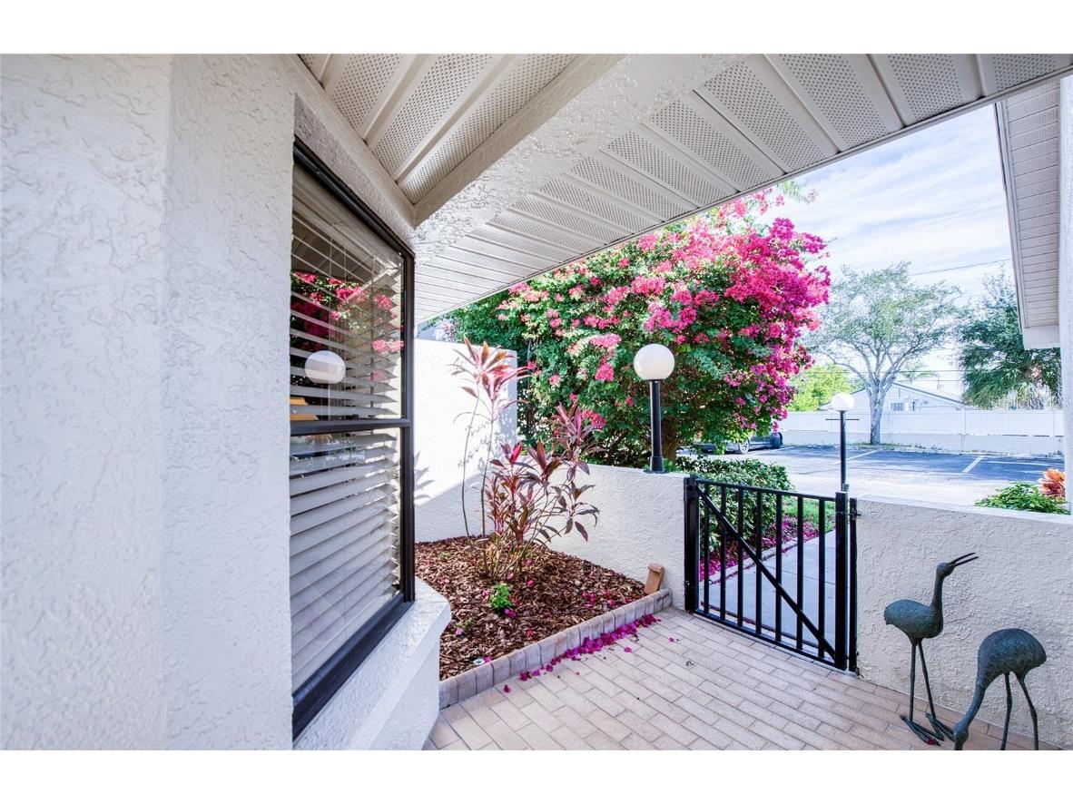 1304 Pasadena Avenue S #3 South Pasadena FL 33707 TB8455841 image5