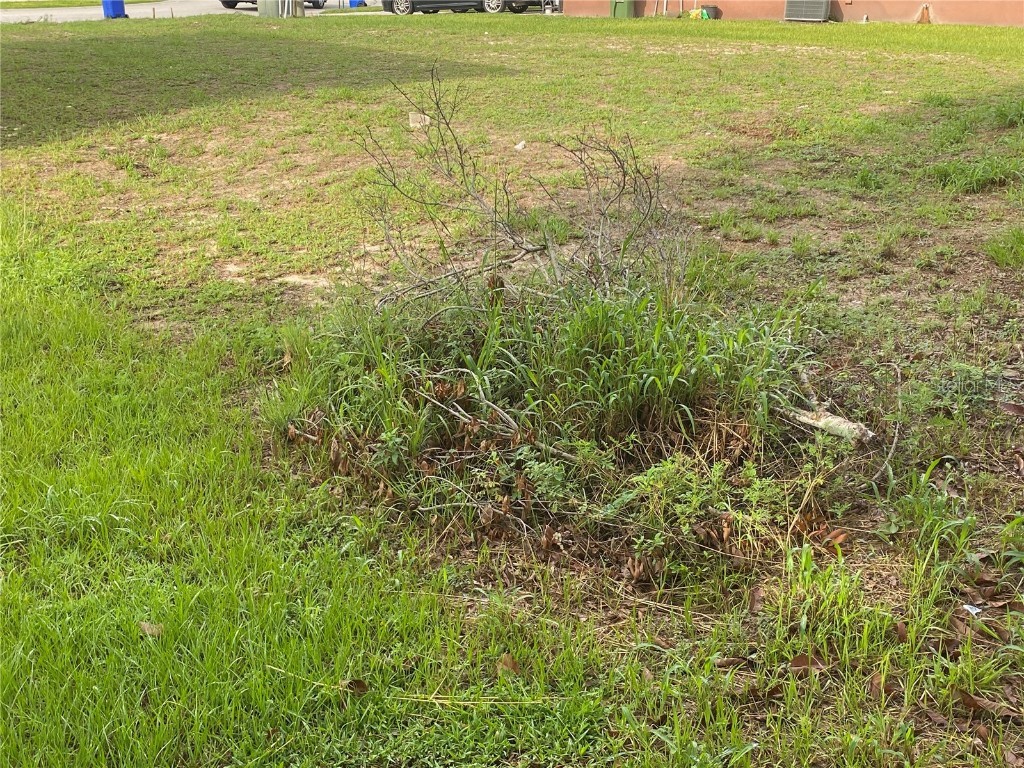 1304 Salisbury Drive Winter Haven FL 33881 S5107136 image3