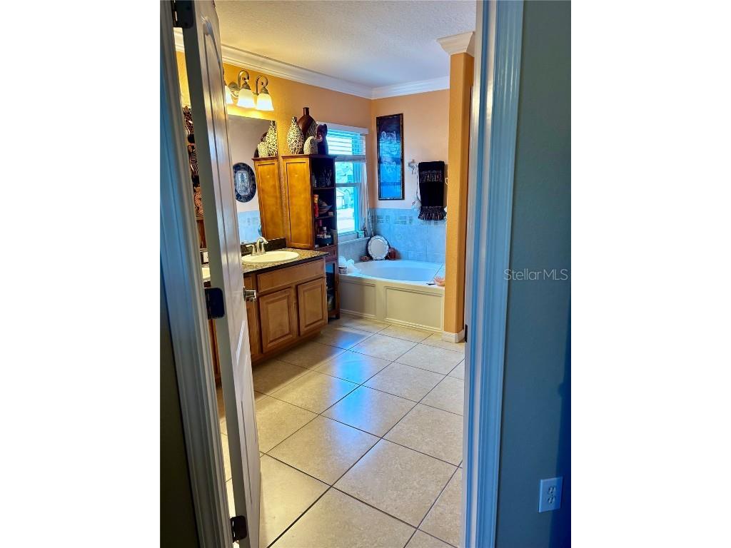 13040 Avalon Crest Court Riverview FL 33579 TB8422950 image25