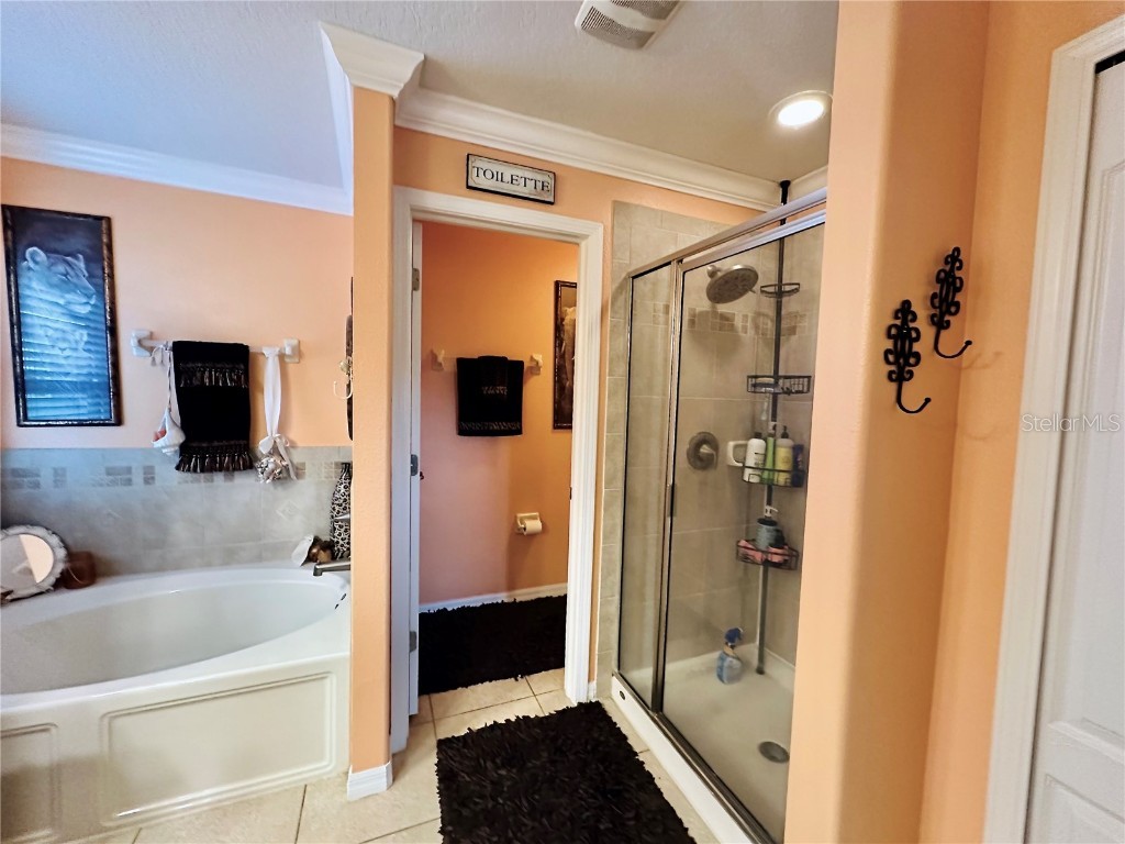 13040 Avalon Crest Court Riverview FL 33579 TB8422950 image27