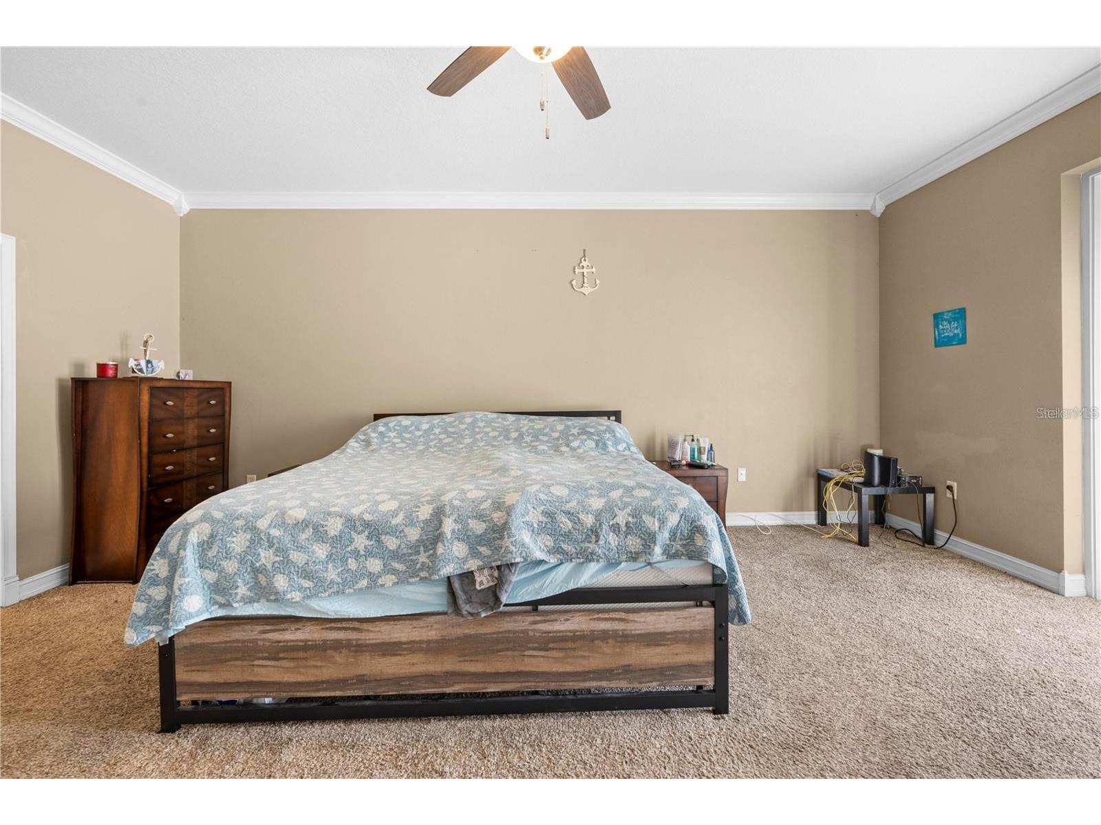13040 Quigley Avenue Weeki Wachee FL 34614 TB8505140 image22