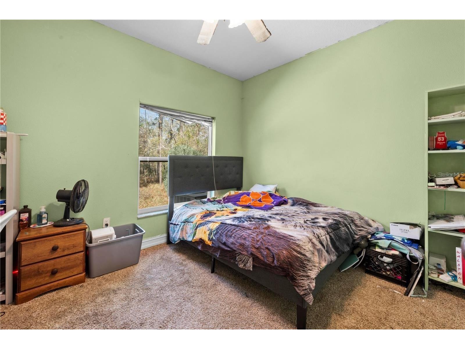 13040 Quigley Avenue Weeki Wachee FL 34614 TB8505140 image29