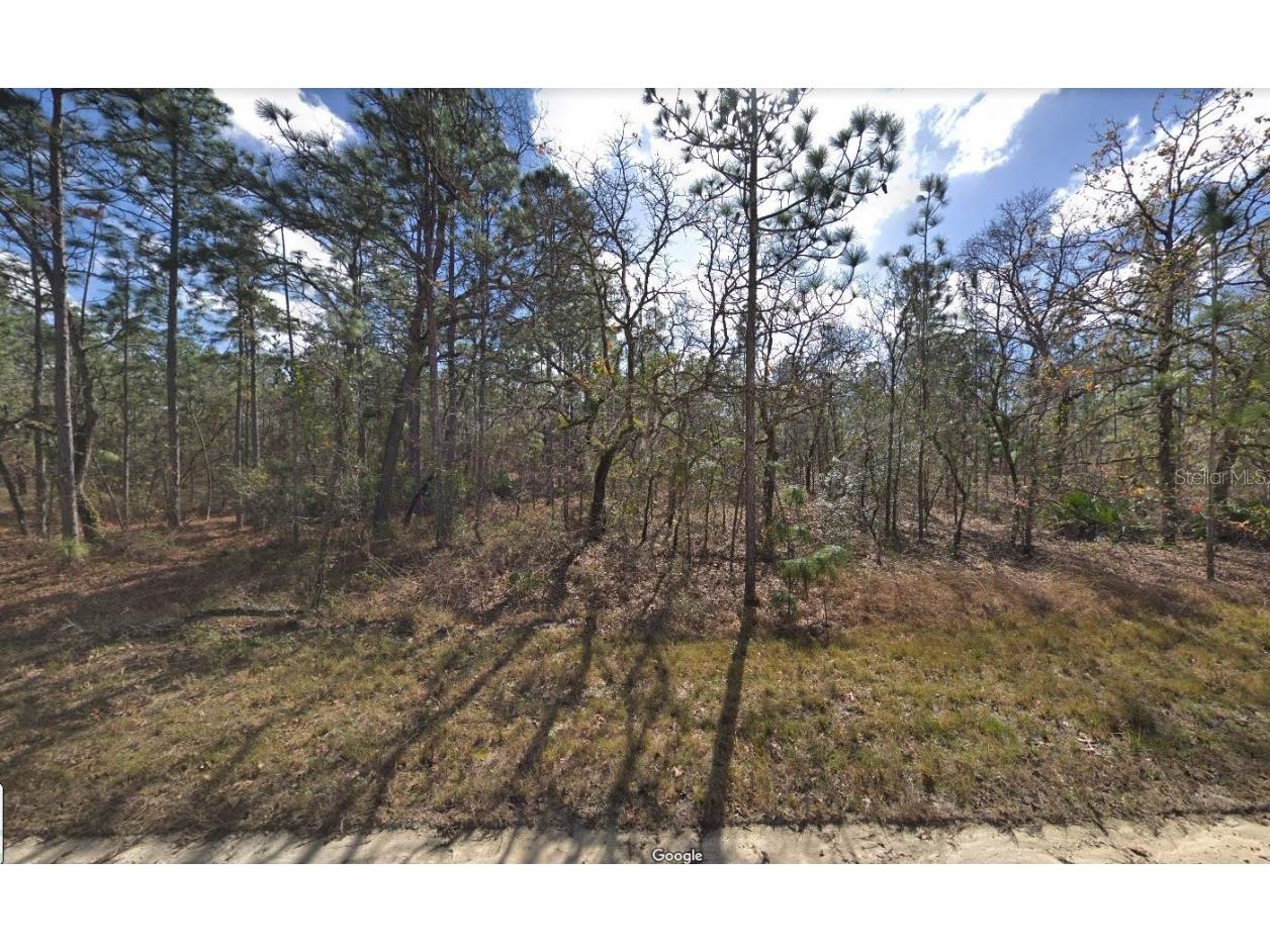 13040 Tinamou Avenue Weeki Wachee FL 34614 T3467168 image1