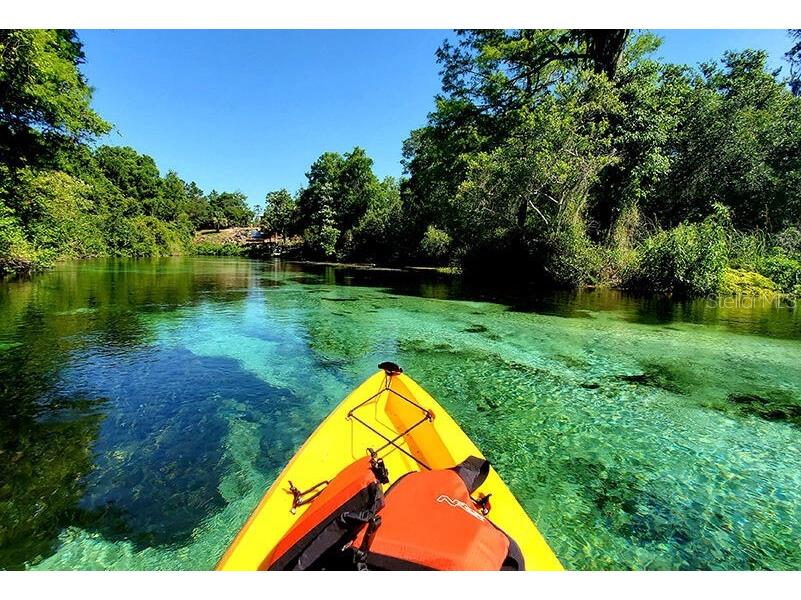 13040 Tinamou Avenue Weeki Wachee FL 34614 TB8448998 image73