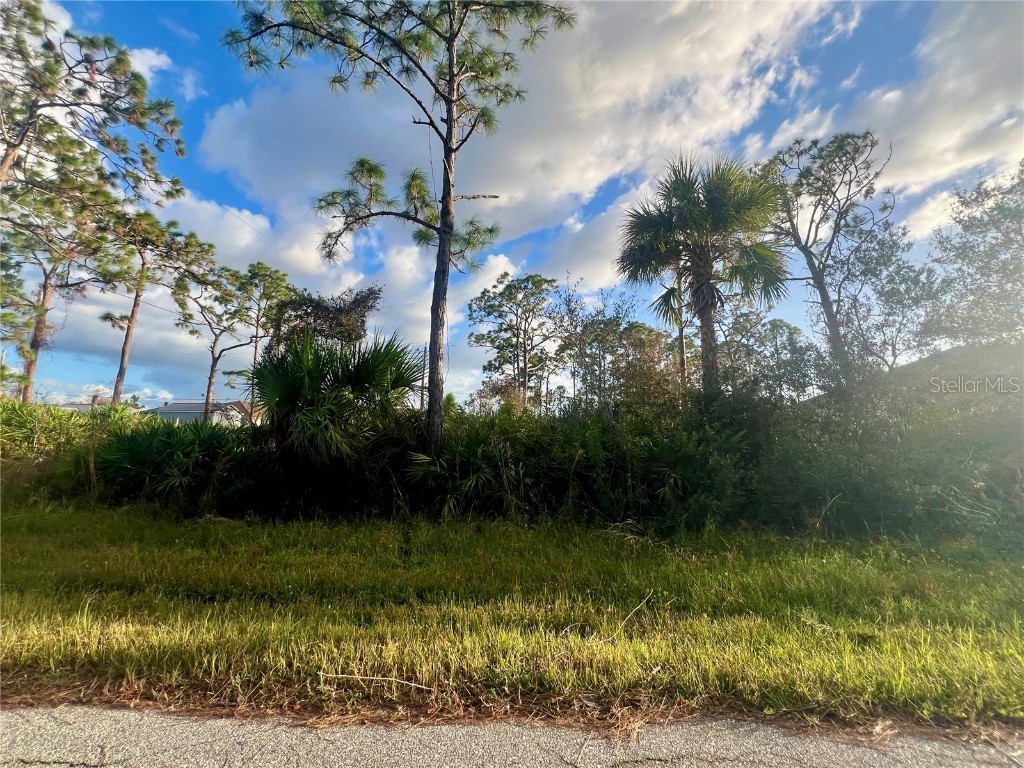 13041 Feldman Avenue Port Charlotte FL 33981 C7516482 image1