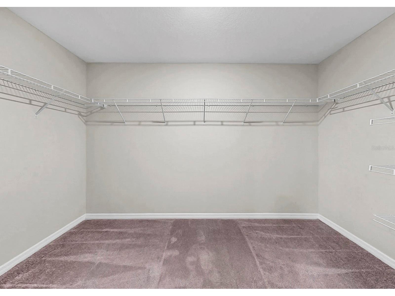13041 Majestic Garden Lane Riverview FL 33579 TB8493383 image29