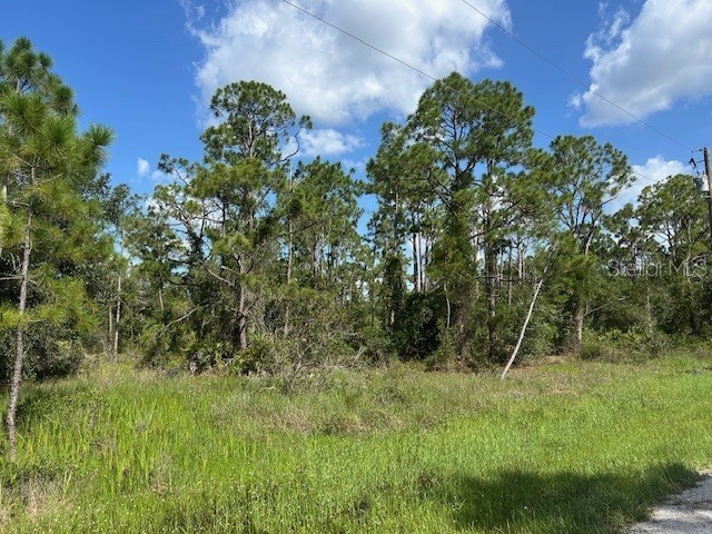 13042 Apache Drive Punta Gorda FL 33955 C7513083 image2