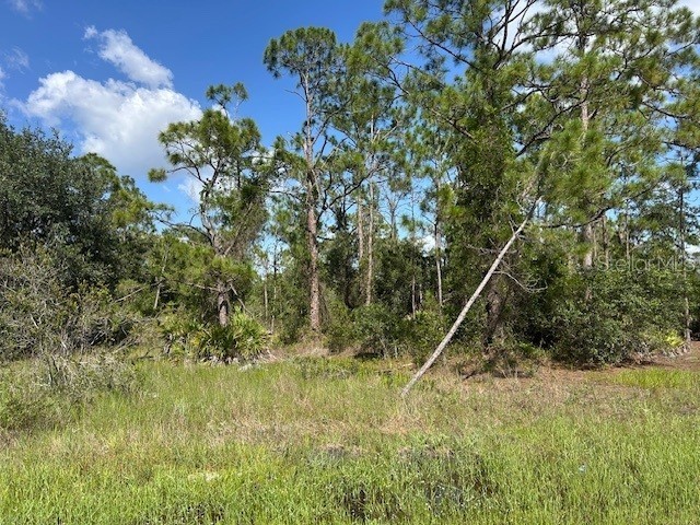 13042 Apache Drive Punta Gorda FL 33955 C7513083 image4