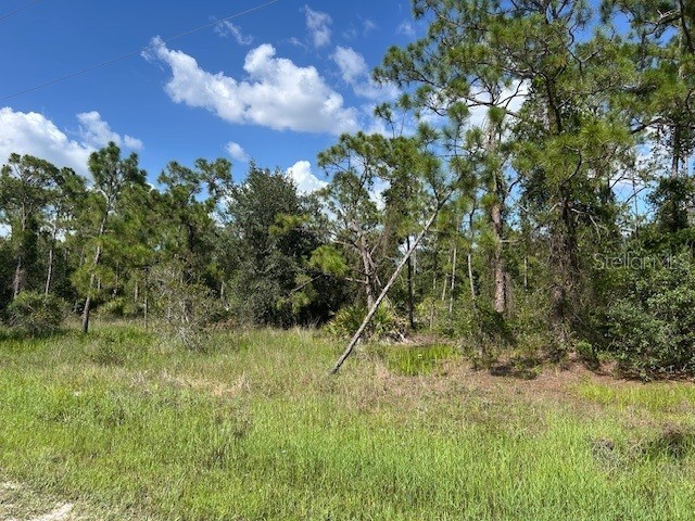 13042 Apache Drive Punta Gorda FL 33955 C7513083 image7