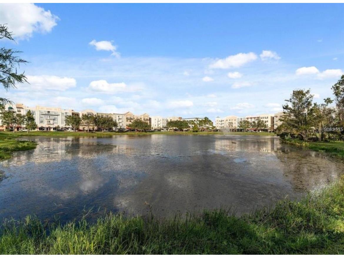 13043 Michael Callin Alley Orlando FL 32828 O6407141 image30