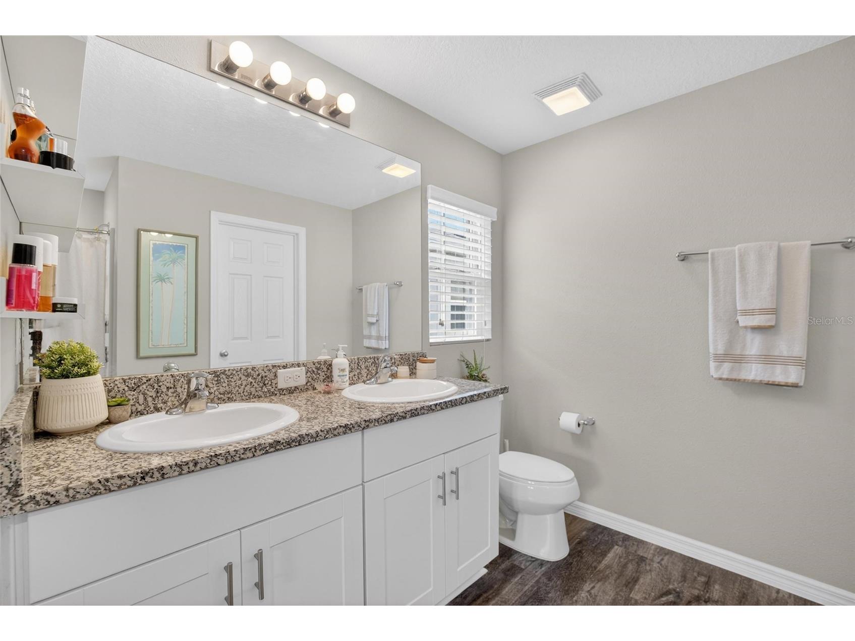 13043 Pennybrook Drive Riverview FL 33579 TB8515719 image20