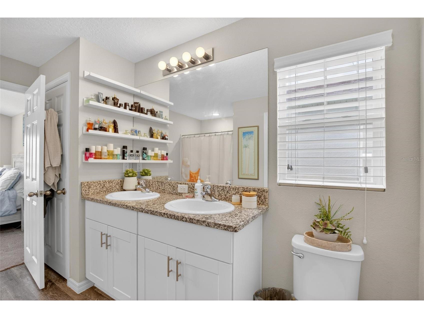 13043 Pennybrook Drive Riverview FL 33579 TB8515719 image21