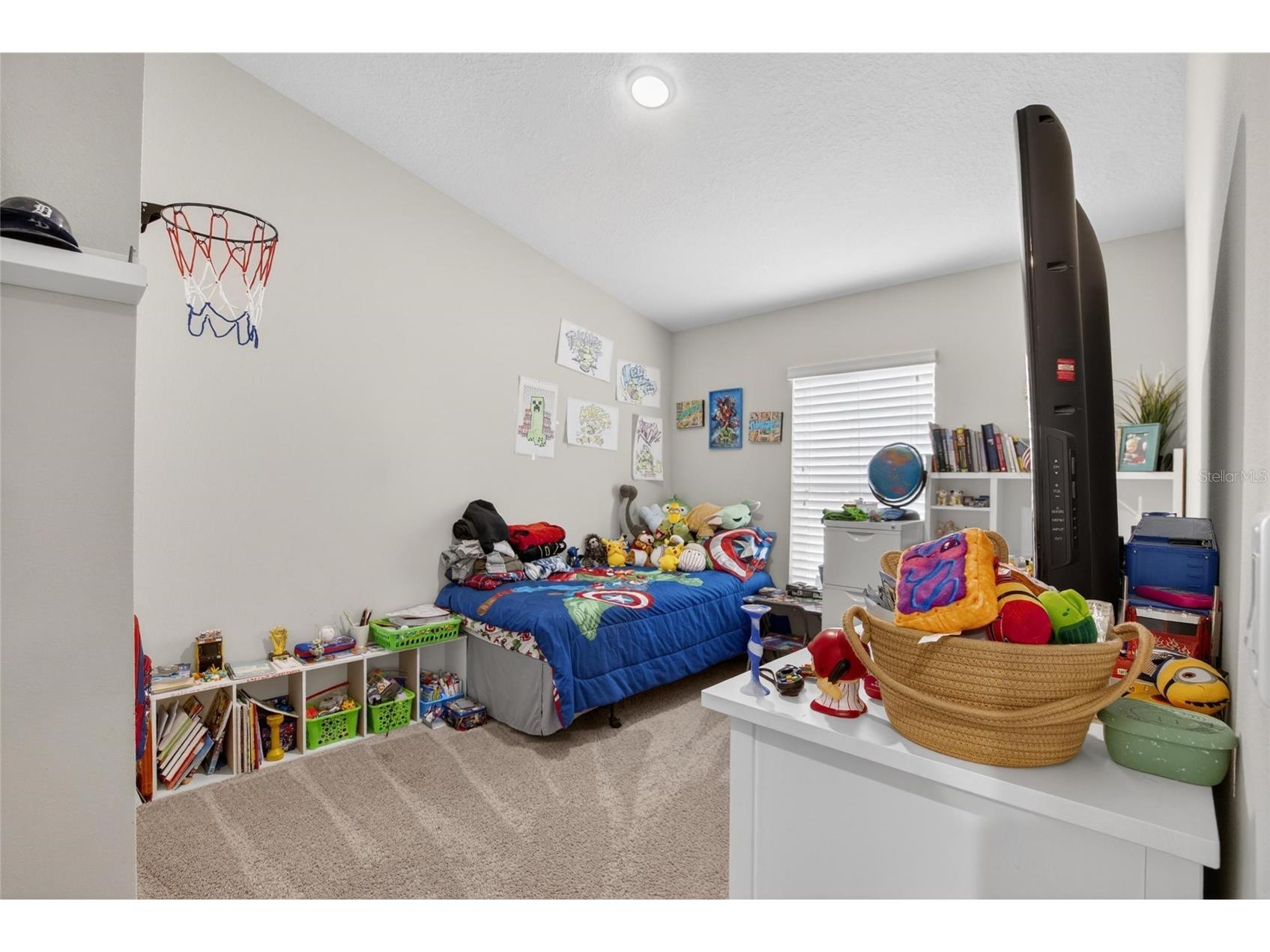 13043 Pennybrook Drive Riverview FL 33579 TB8515719 image25