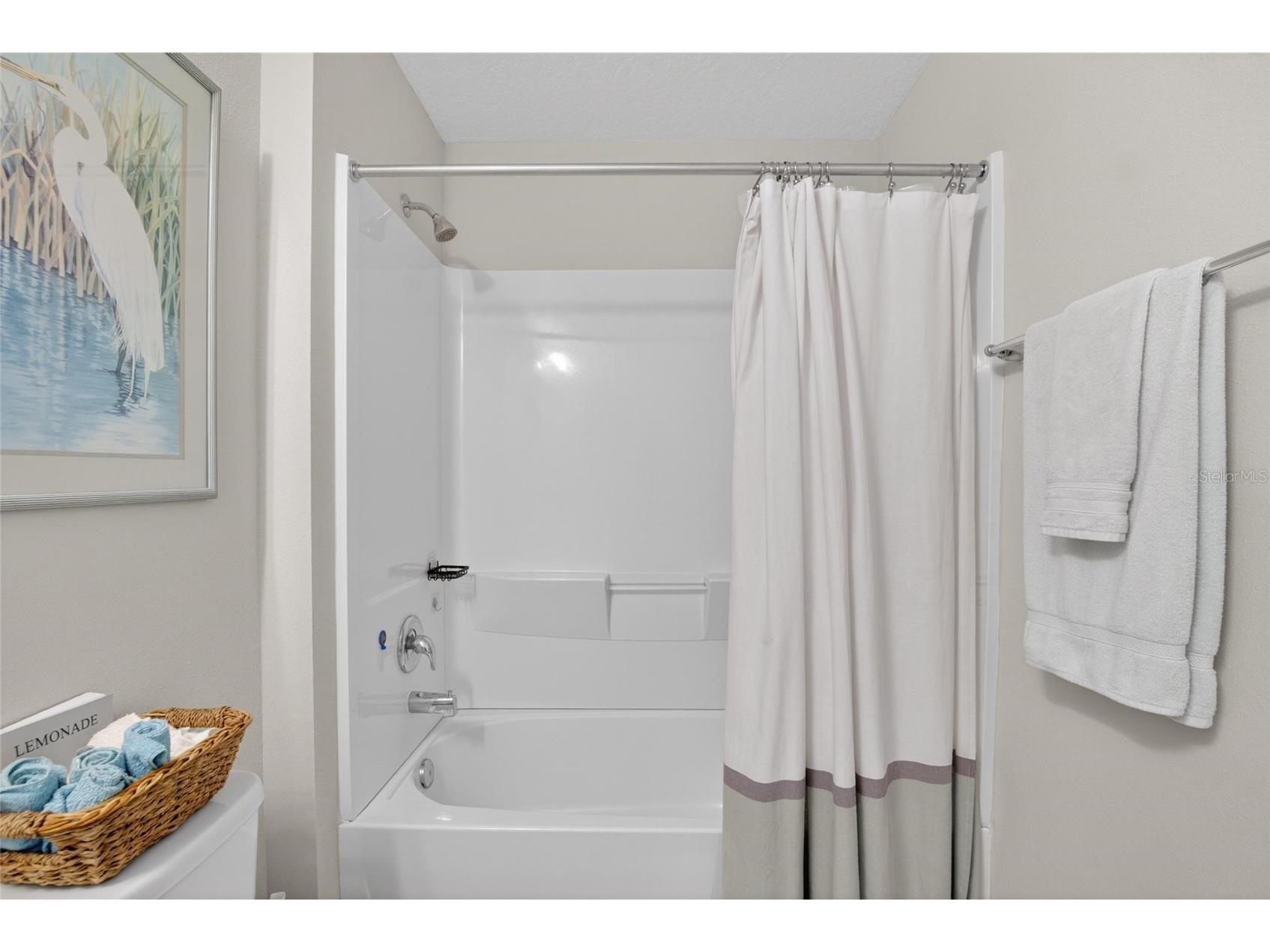13043 Pennybrook Drive Riverview FL 33579 TB8515719 image29