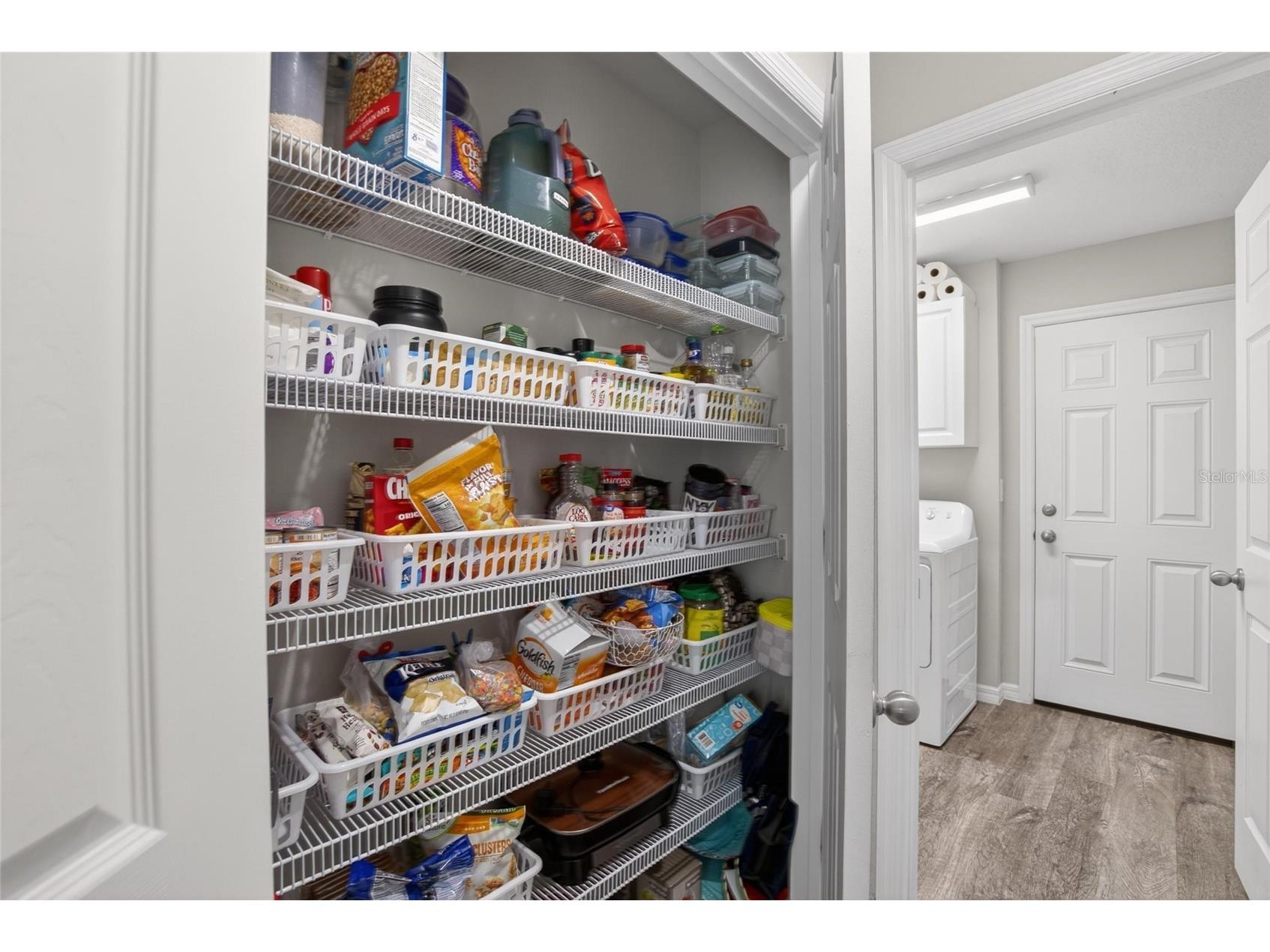 13043 Pennybrook Drive Riverview FL 33579 TB8515719 image30