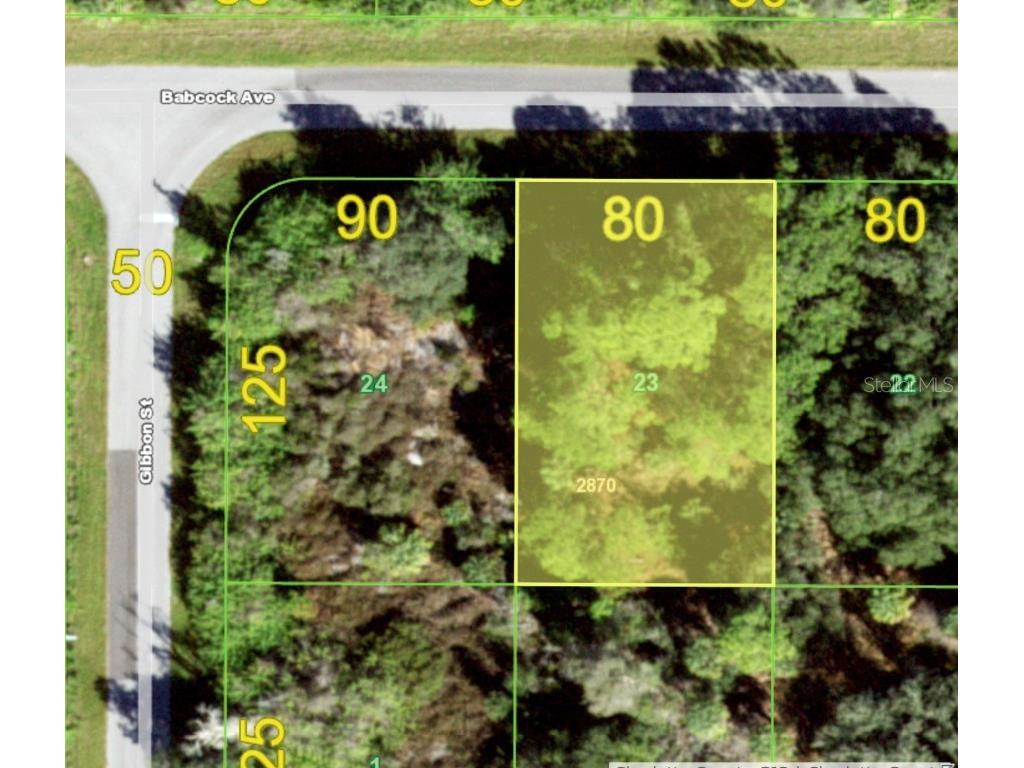 13045 Babcock Avenue Port Charlotte FL 33953 A4575013 image1