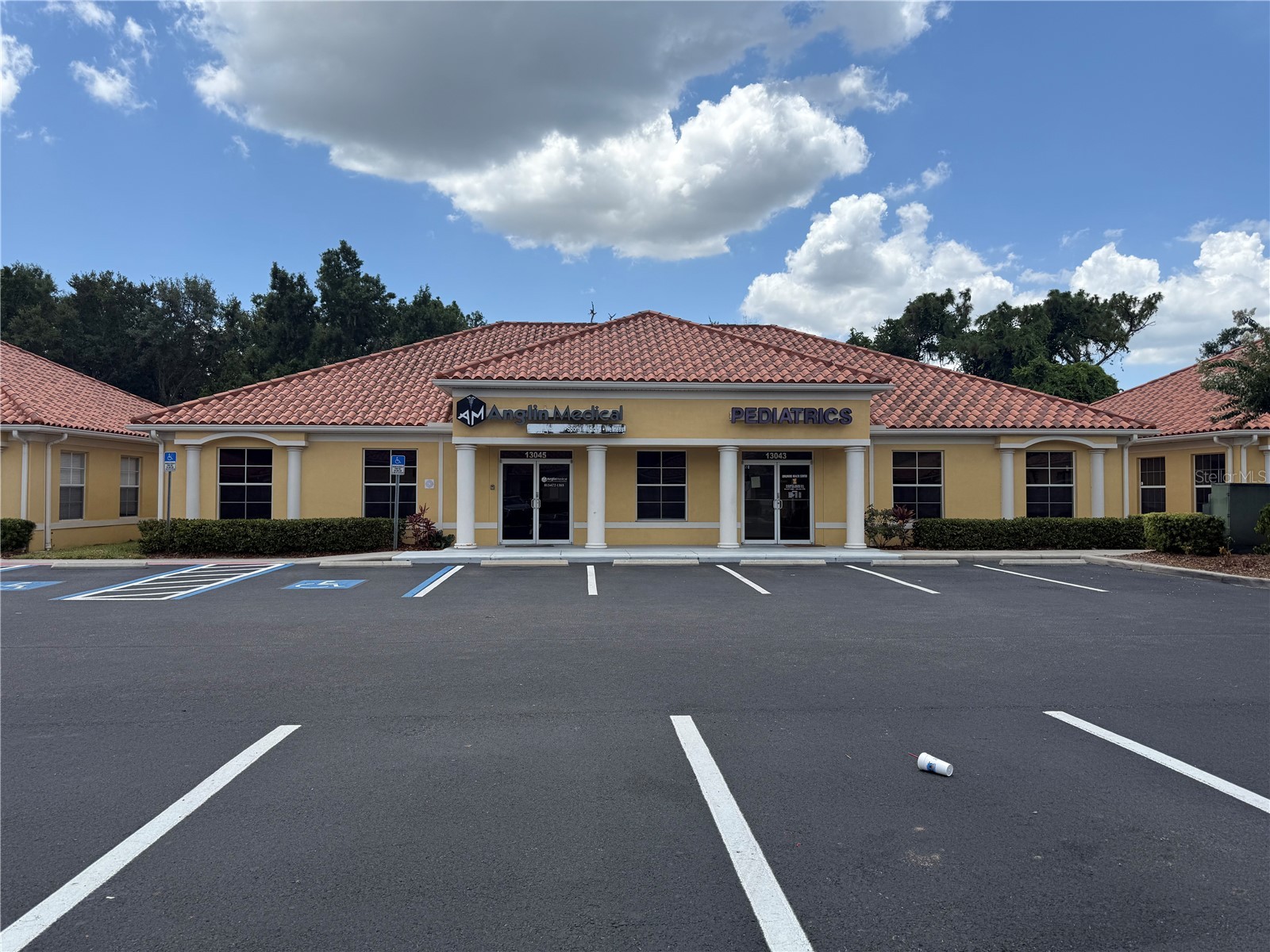 13045 Summerfield Square Drive Riverview FL 33578 TB8513474 image19
