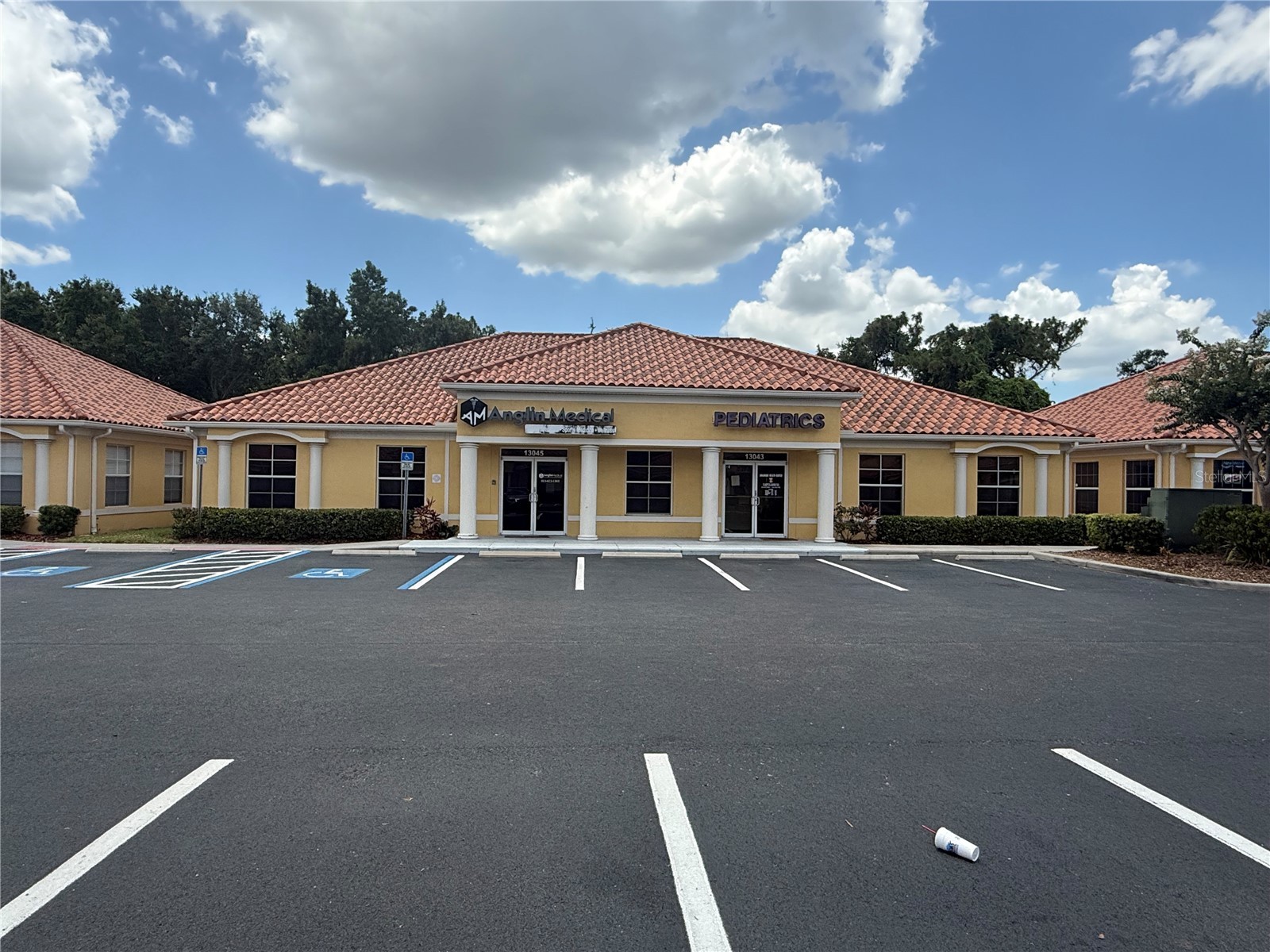 13045 Summerfield Square Drive Riverview FL 33578 TB8513474 image21