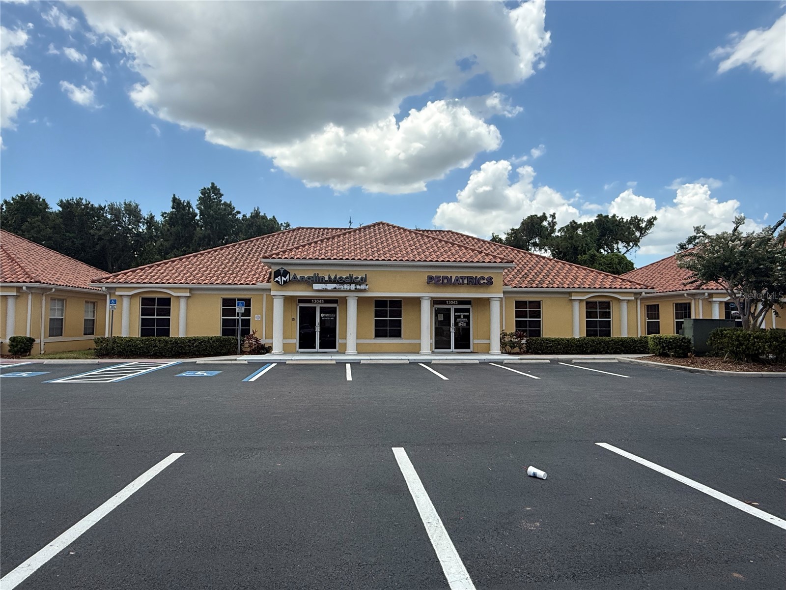13045 Summerfield Square Drive Riverview FL 33578 TB8513474 image3