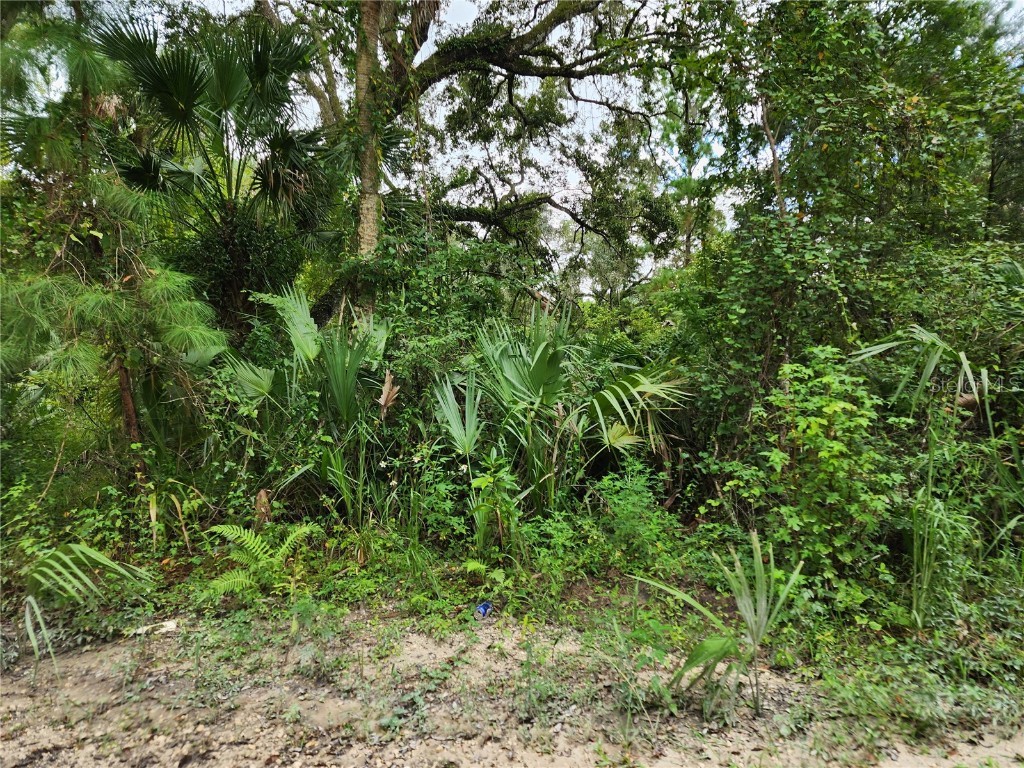 13046 E Shawnee Trail Inverness FL 34450 TB8427016 image1