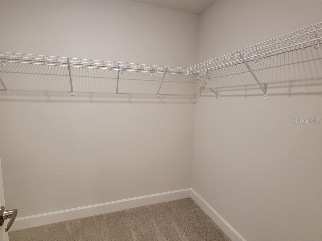 13046 Kent Bradley Street Dade City FL 33525 TB8432096 image23